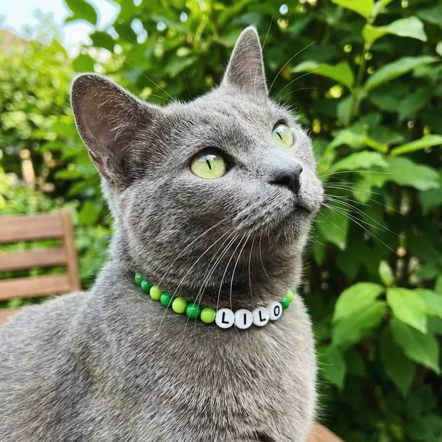 Collier unique pour chat avec son nom - Granny Pop