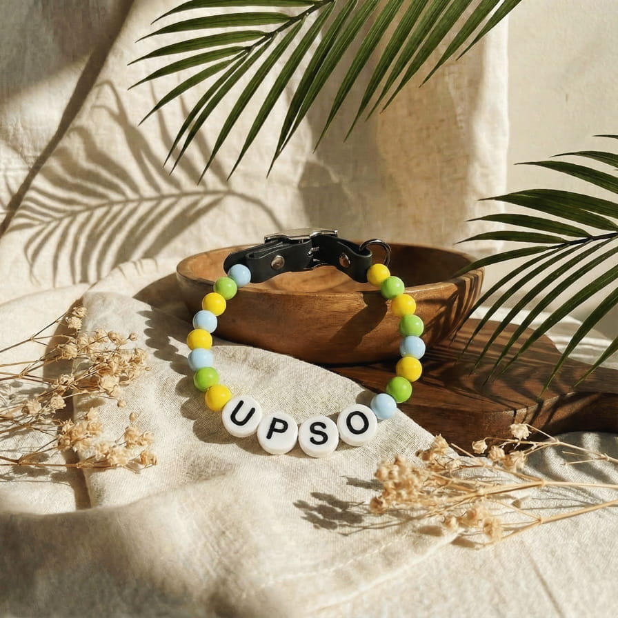 Collier unique pour chien avec son nom - Bloomy