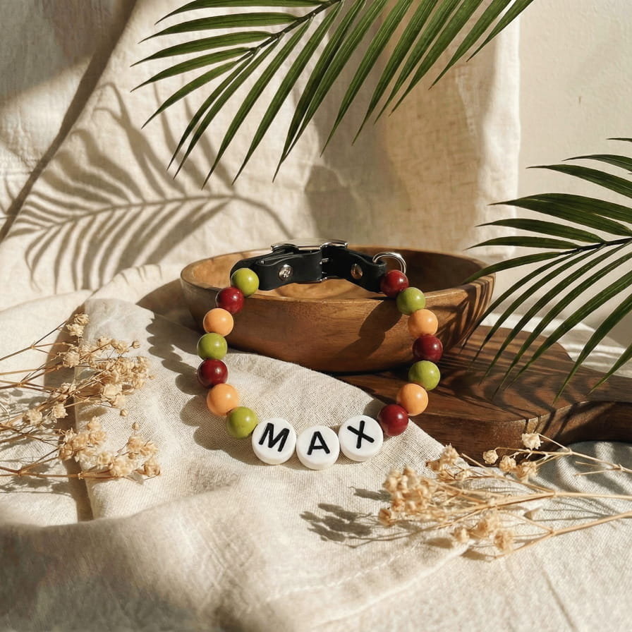 Collier unique pour chien avec son nom - Pumpkin Spice