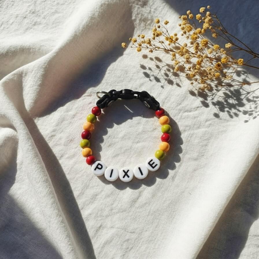 Collier unique pour chat avec son nom - Pumpkin Spice