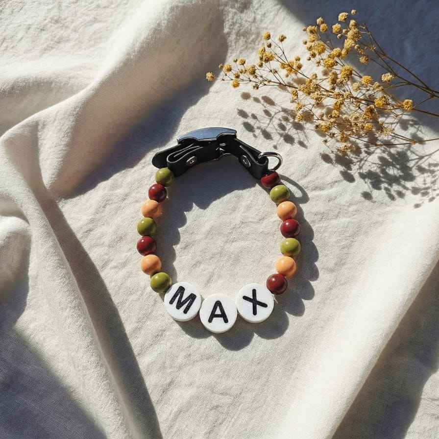 Collier unique pour chien avec son nom - Pumpkin Spice