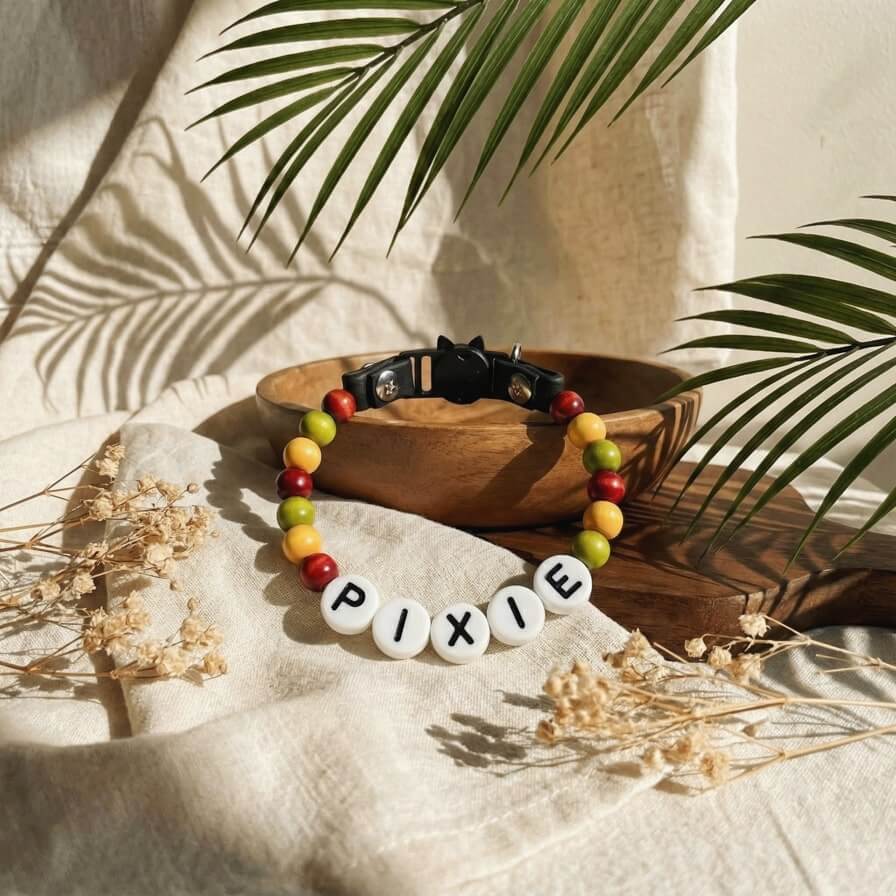 Collier unique pour chat avec son nom - Pumpkin Spice