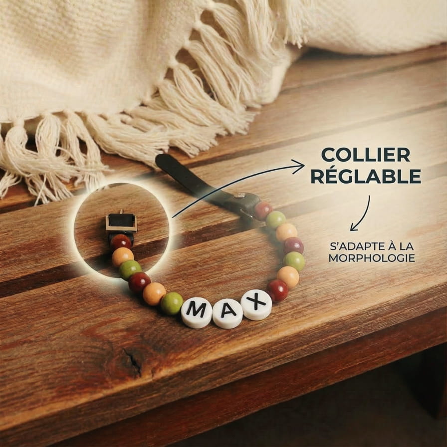 Collier unique pour chien avec son nom - Pumpkin Spice